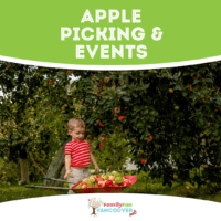 Boy Picking Apples