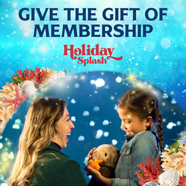 Vancouver Aquarium Gift Guide