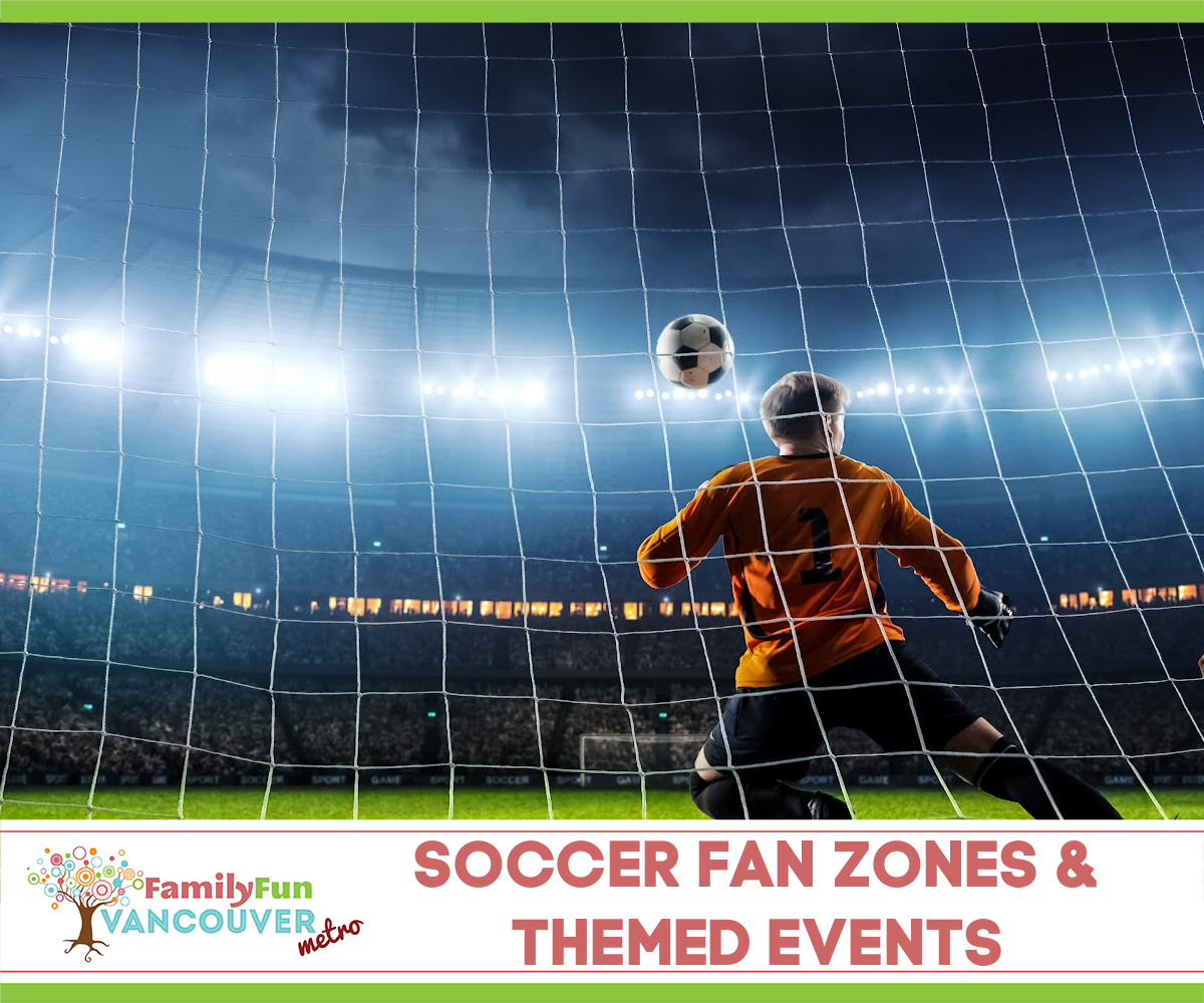 Person in goal to catch a soccer ball.