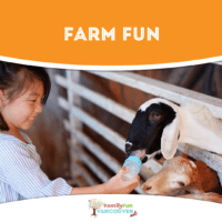 Girl feeding animals