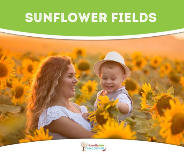 Mom and child in a sunflower field 1200x1000