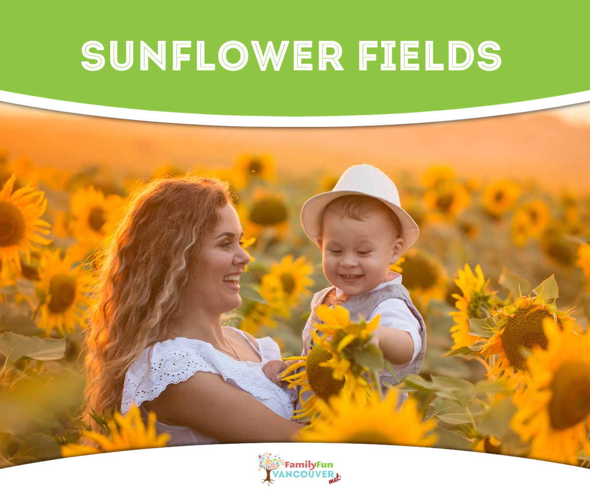 Mom and child in a sunflower field 1200x1000