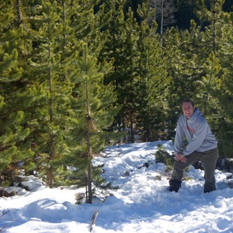 treecutting4 treecutting4