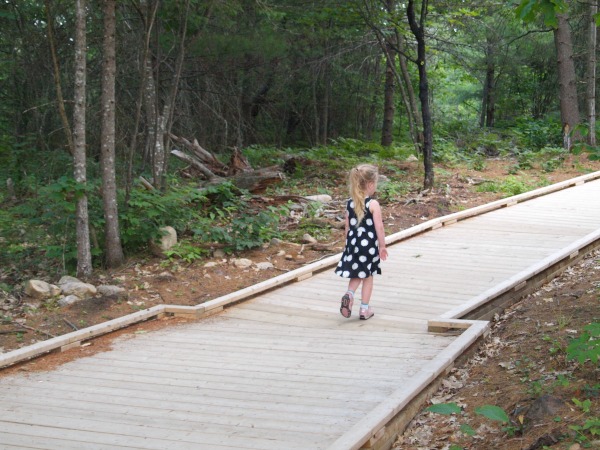 Top-Algonquin-Senderismo-Senderos-Para-Niños-Fire-Tower-Trail