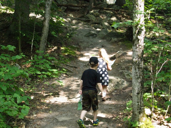 Top-Algonquin-Hiking-Trails-For-Kids-Hardwood-Trai