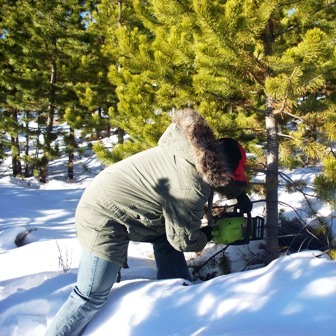 treecutting2