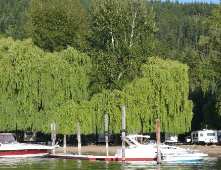 Sunset Bay Strandcampingplatz