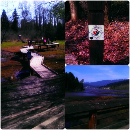 Pathsways in Port Moody