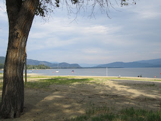 shuswap lake beach at cottonwood rv park