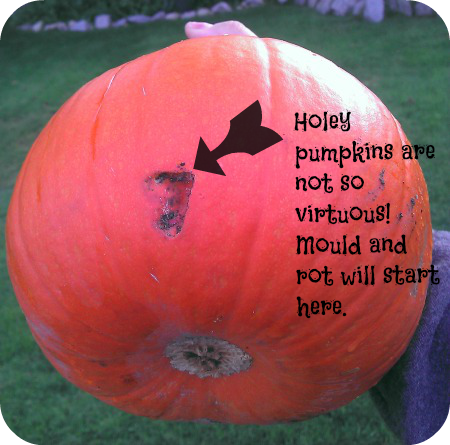 pumpkin with hole
