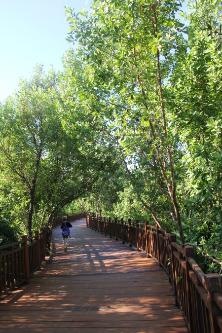 paradisus-playa-del-carmen-la-esmeralda-boardwalk