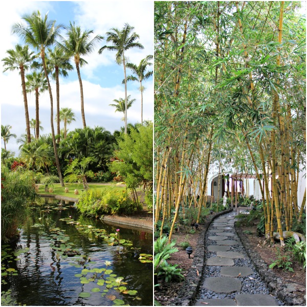 Мауи с детьми в отеле Fairmont Kea Lani