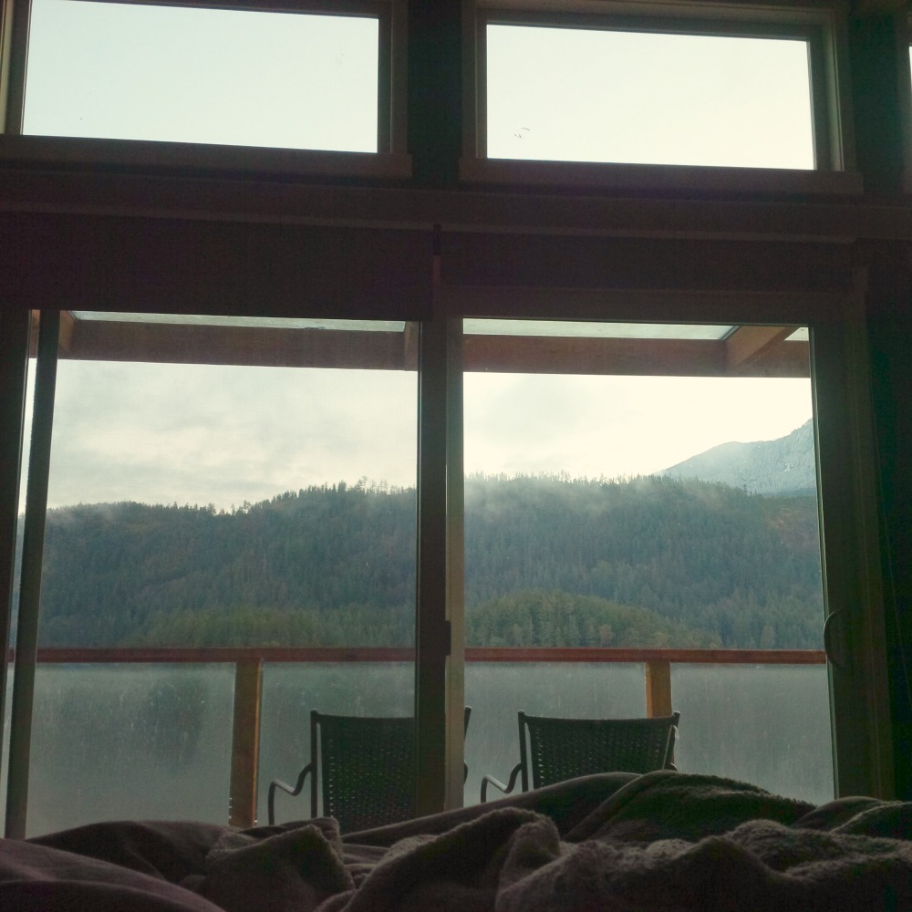 backeddy view from bed