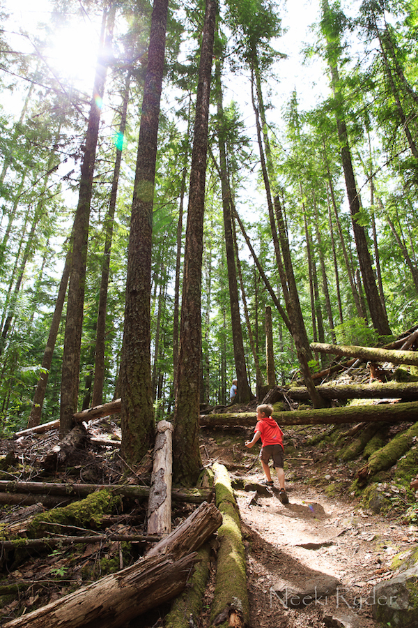 Blueberry Springs, Albas Provincial Park, Shuswap, BC-4363