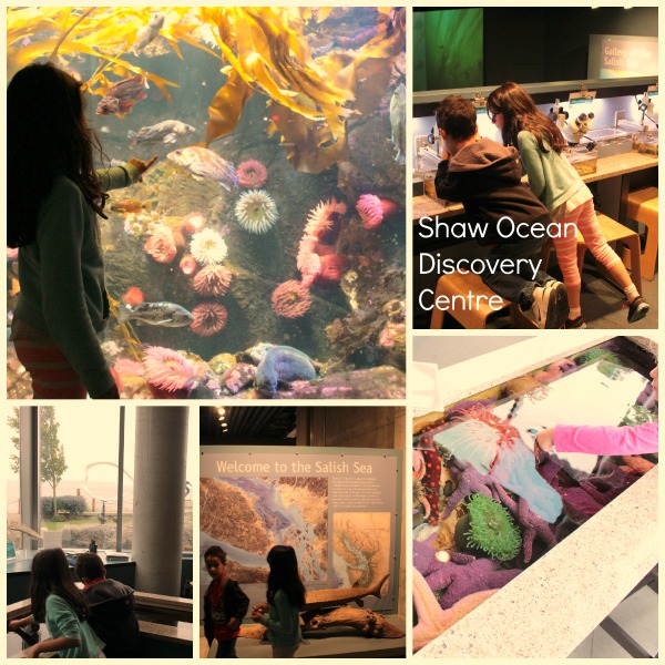 Shaw Ocean Discovery Center