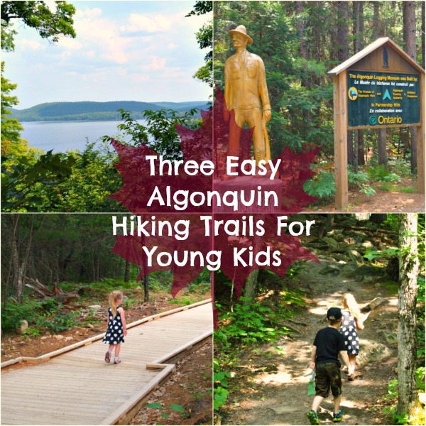 Three Algonquin Hiking Trails For Young Kids