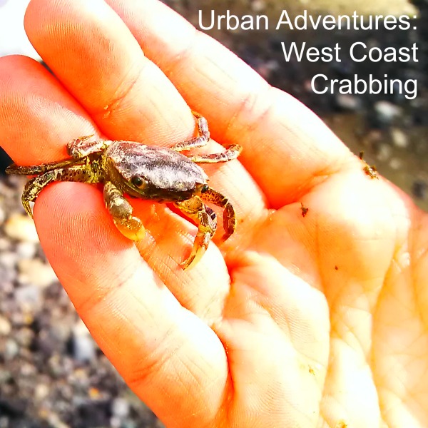 Urban Adventures West Coast Crabbing