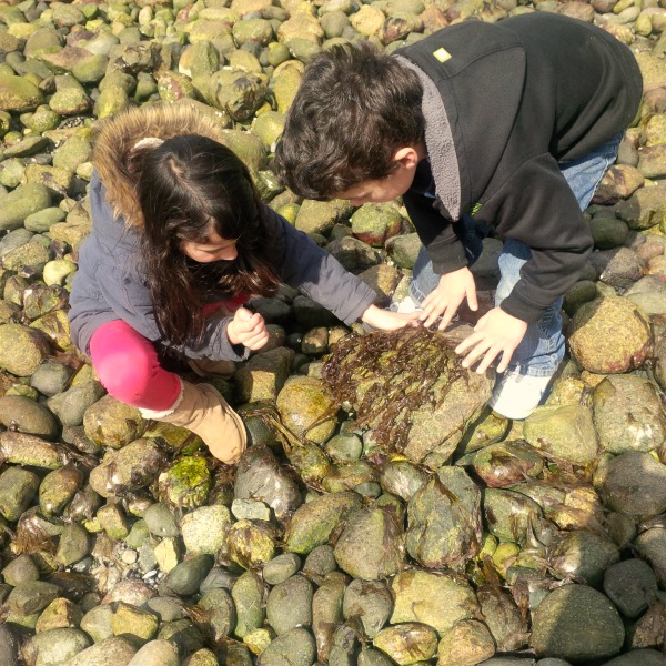 Aventures urbaines Crabbing sur la côte ouest