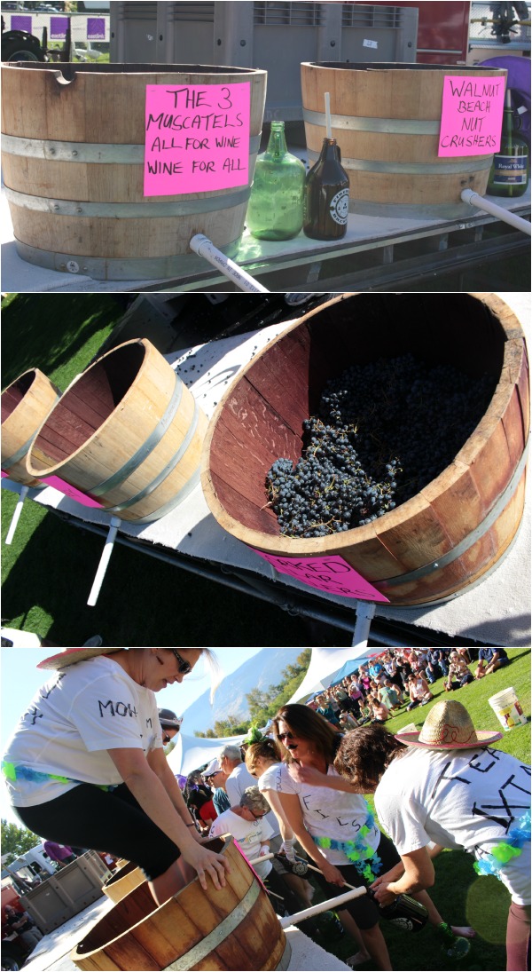 Wine Stomping Festival of the Grape