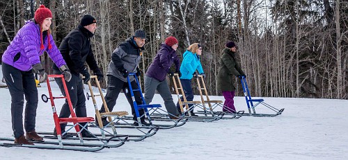 Weirdly wonderful winter activities Kick sledders  credit Shirley McCuaig