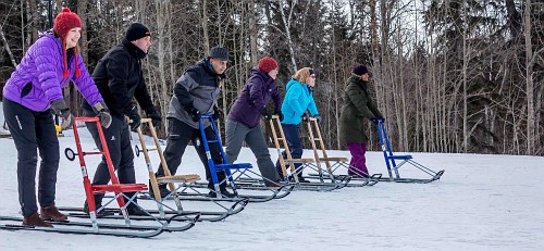 Estranhamente maravilhosas atividades de inverno Kick sledders credito Shirley McCuaig