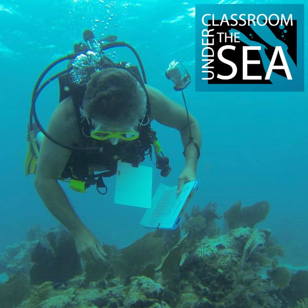 Classroom Under the Sea Bruce Cantrell Diving