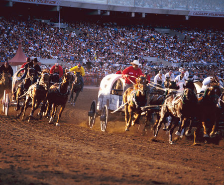 Out of towners - Calgary Attractions Calgary Stampede