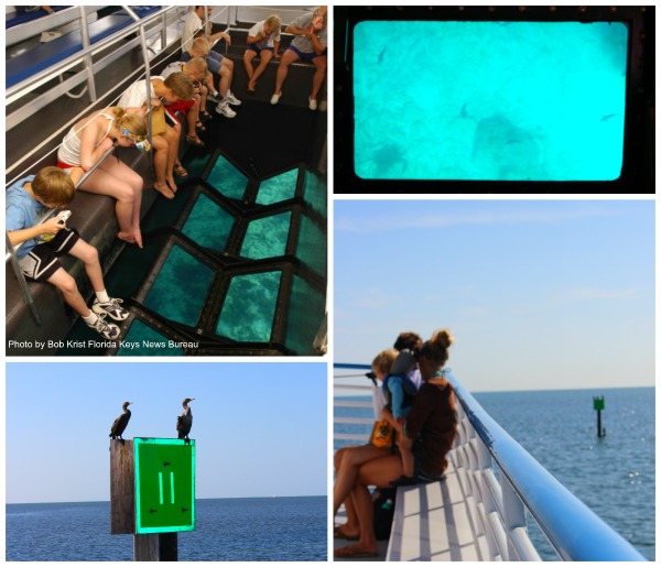 Excursion en bateau à fond de verre john pennekamp park key largo florida