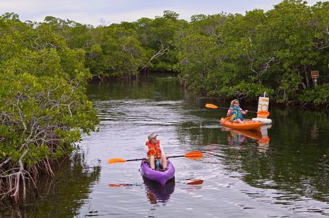 Kayaking Penneakamp باب کیئر فلوریڈا کیز نیوز بیورو