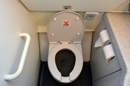 Plan your bathroom visits, and DO warn young kids about the toilet flush sound.