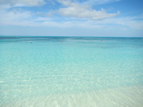 Tuba. Réservez une excursion de plongée avec tuba gratuite auprès du bureau des sports nautiques. Le bateau part 4 fois par jour et vous emmène directement à la barrière de corail. Avoir le mal de mer? Vous pouvez également acheter du matériel de plongée et descendre la plage jusqu'à Coral Gardens, un récif corallien à quelques pas de la plage. Il y a un périmètre protégé autour du récif pour le protéger.