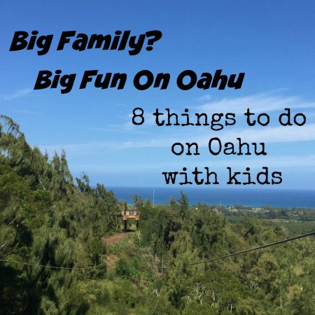 Big Family Big Fun on Oahu