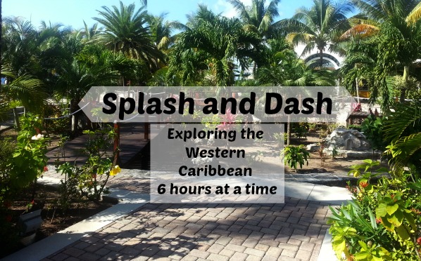 Splash und Dash