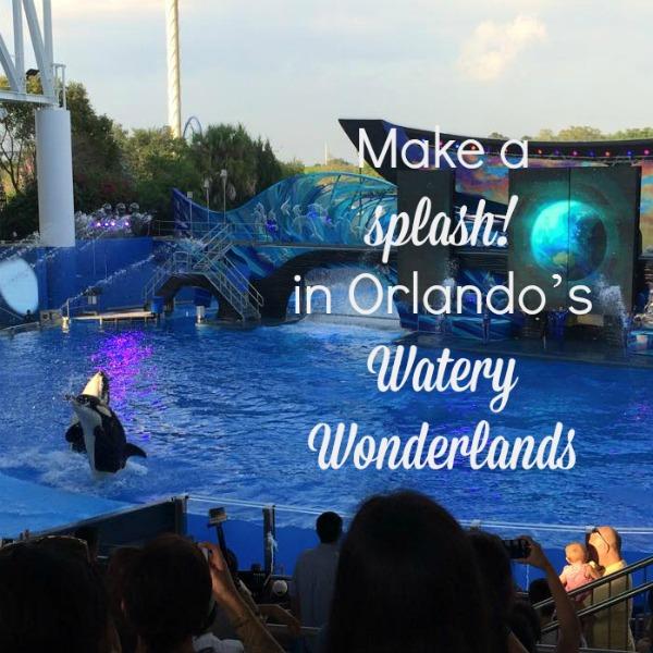 Make a splash in Orlando’s Watery Wonderlands