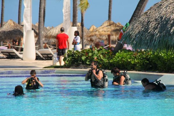 Paradisus Palma Real Resort divers in the pool