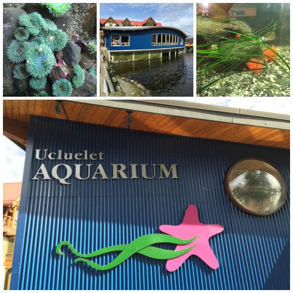 Acuario de Ucluelet