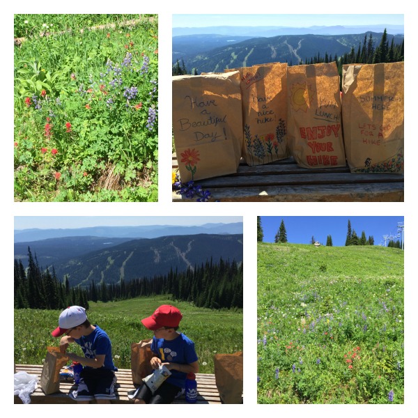 Alpines Picknick