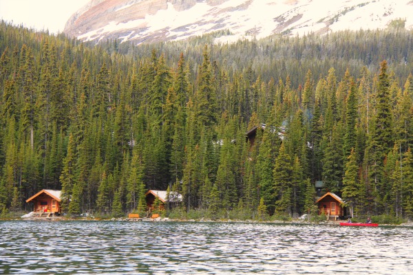 Vatertagswanderungen Lake Ohara Lodge vom See