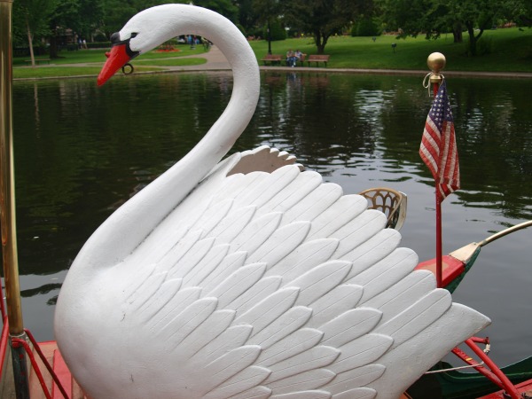 Swan-Boats-Boston-Things To Do With Kids In Boston
