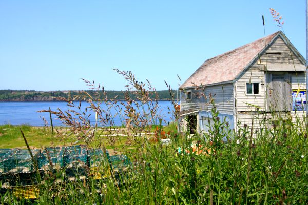 Freeport Long Island Digby Neck