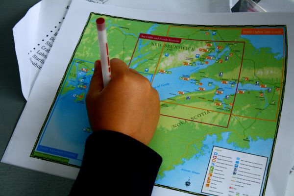 Observation des baleines sur l'île Brier