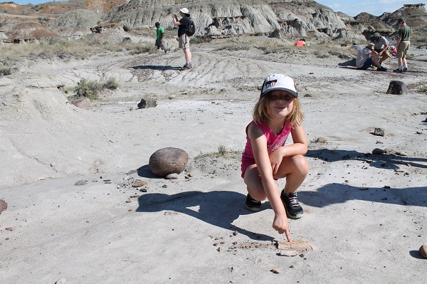 hunting for Canadian Fossils