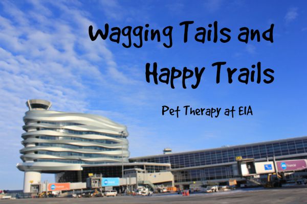 Wagging Tails and Happy Trails