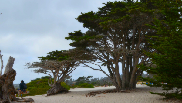 The beach at Carmel-by-the-Sea. Sand pervades the first couple of blocks of the town.