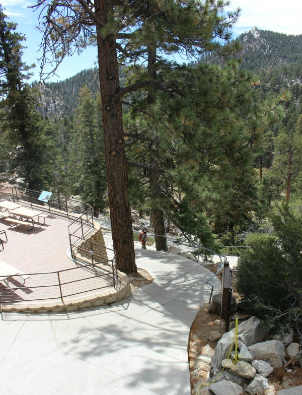 Paved pathway from Palm Springs Aerial Tramway