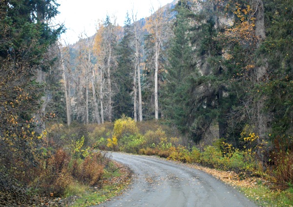 Road-Trip-Family-Fun-Canadá-2