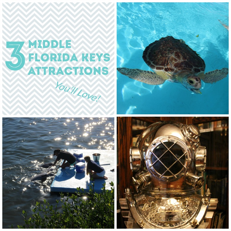 3 Middle Florida Keys Attractions You'll love