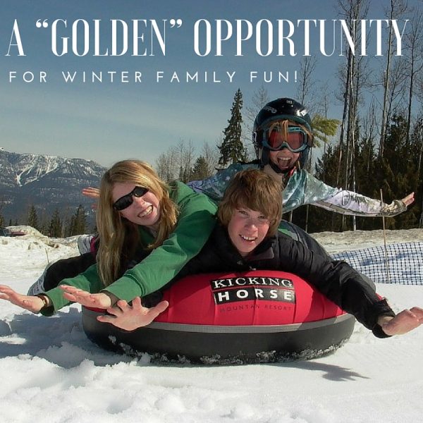 冬の家族の楽しみのための「黄金の」機会！