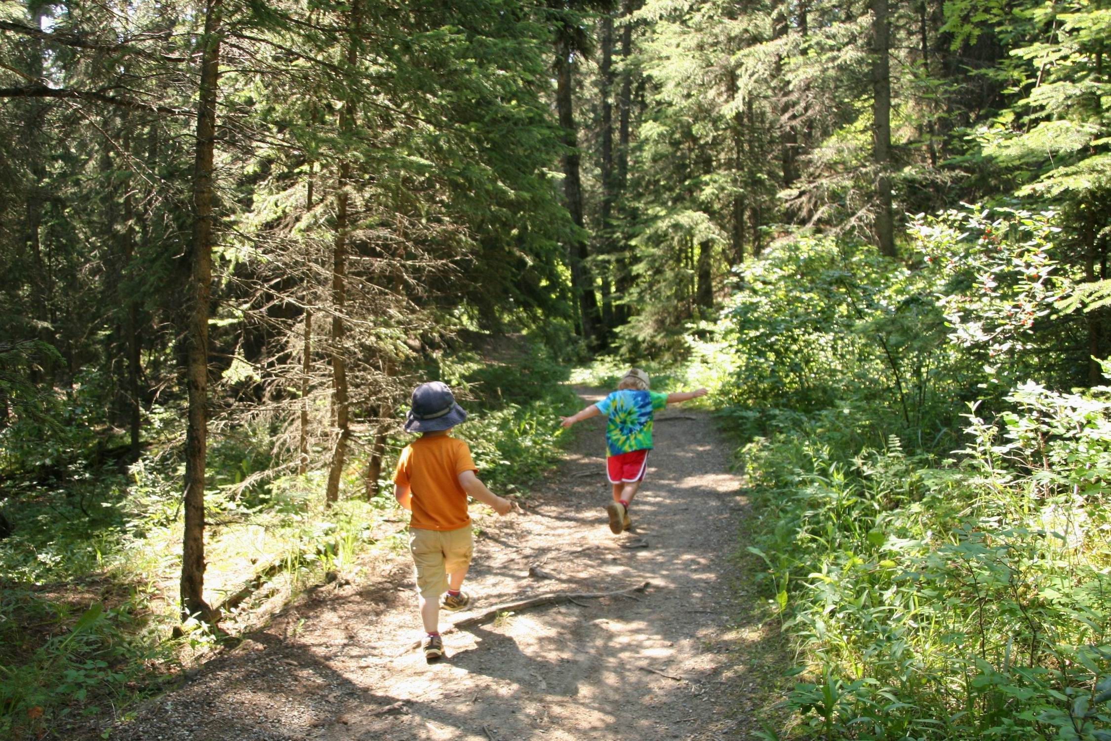 Trail Hide-and-Seek keeps the kids running