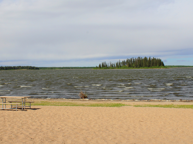 Explore Elk Island National Park in Alberta